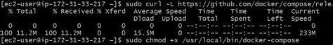 chmod 775|chmod 775 usr bin docker.
